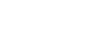 dum organizasyon